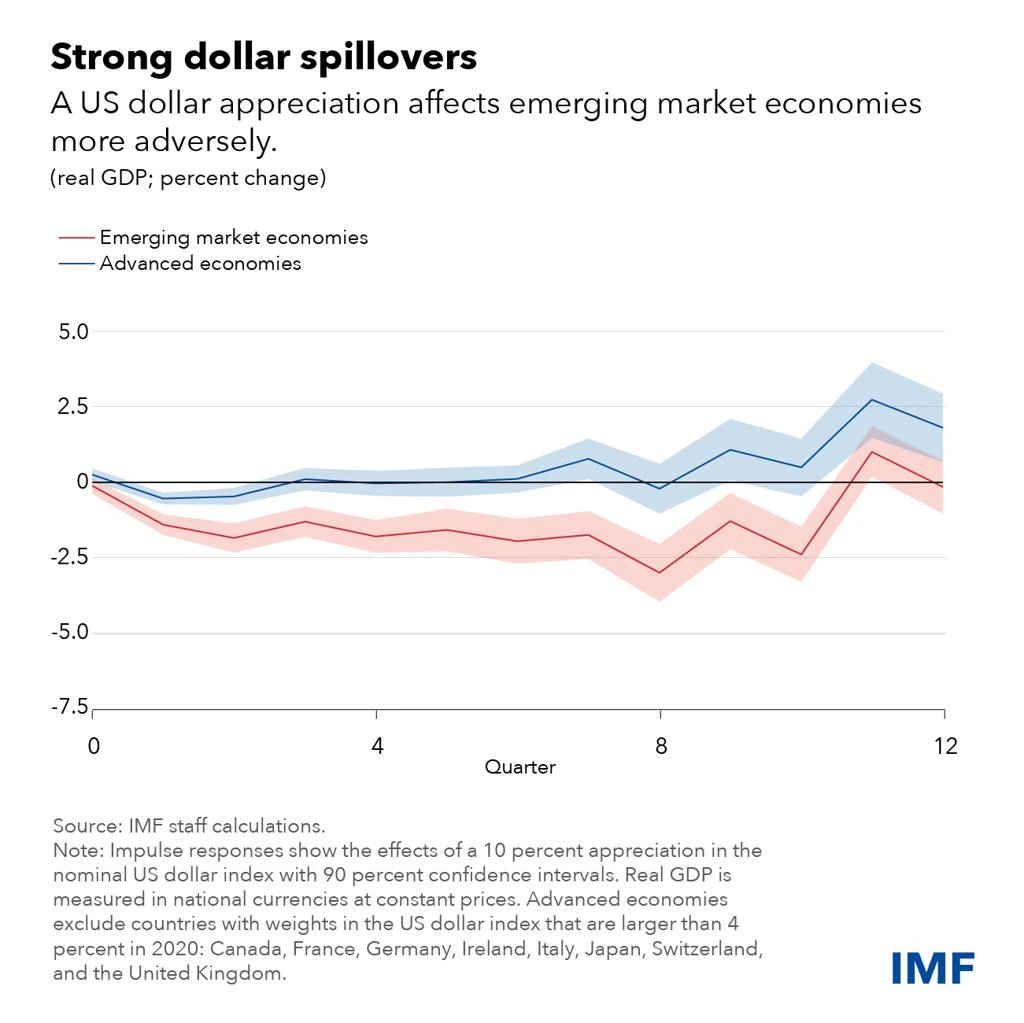Investor analyzing macroeconomic data including interest rates and US dollar strength